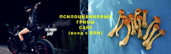 МДПВ Нязепетровск