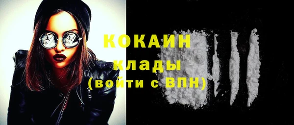 тгк Алексин
