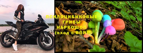 тгк Алексин