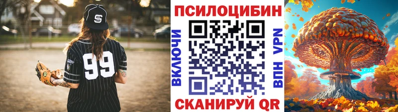 Галлюциногенные грибы мицелий  хочу наркоту  Петрозаводск 