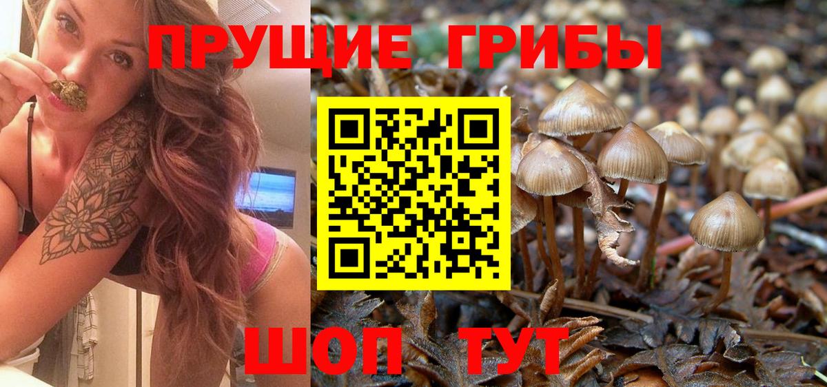 Петрозаводск  Галлюциногенные грибы MAGIC MUSHROOMS  даркнет сайт  Вход с VPN 