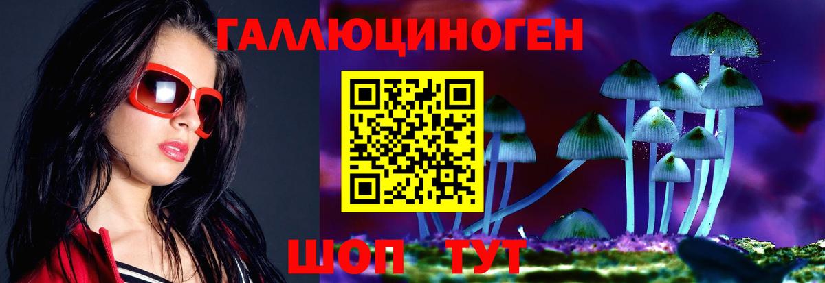 Псилоцибиновые грибы прущие грибы Петрозаводск